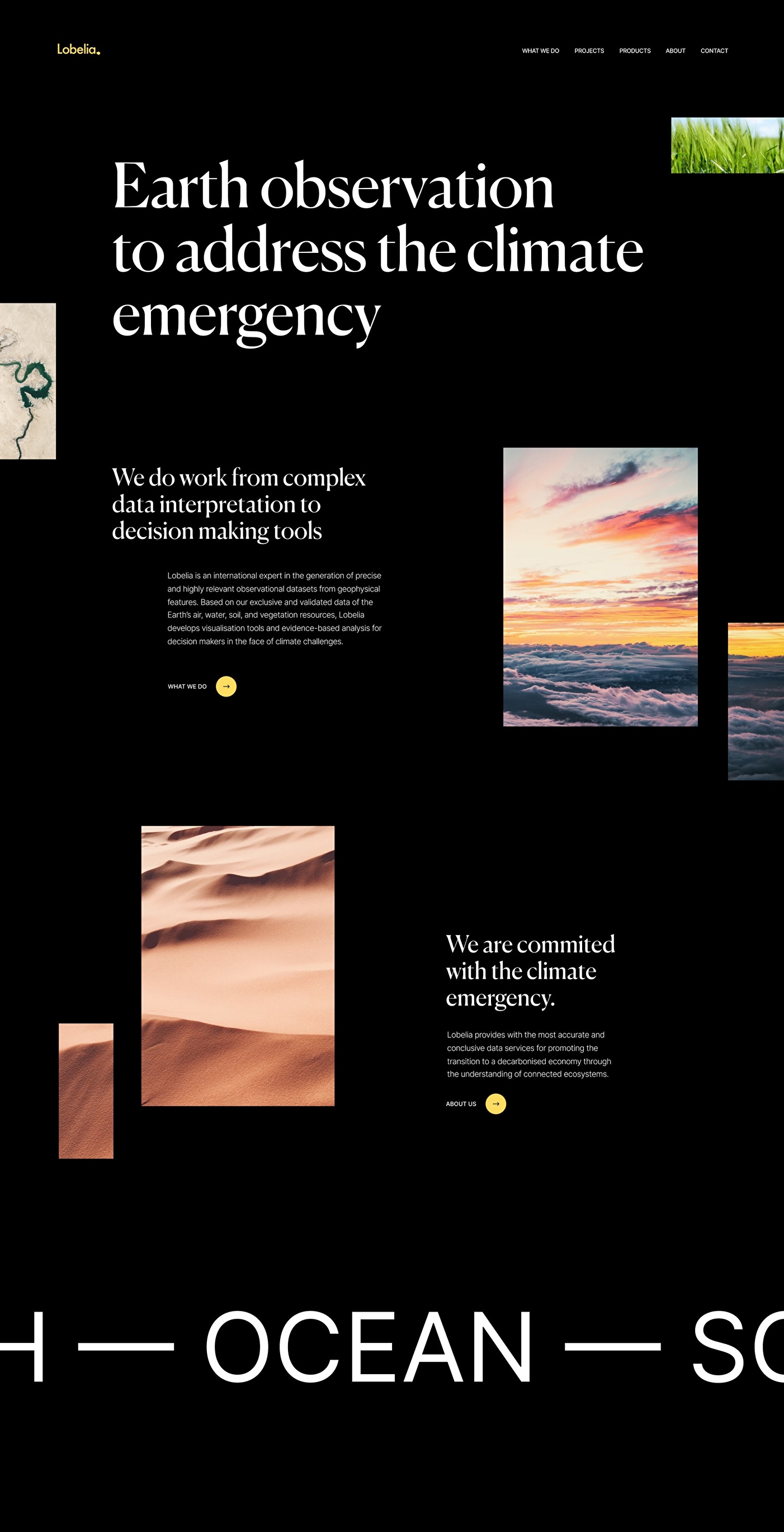 UI Design of Lobelia homepage.