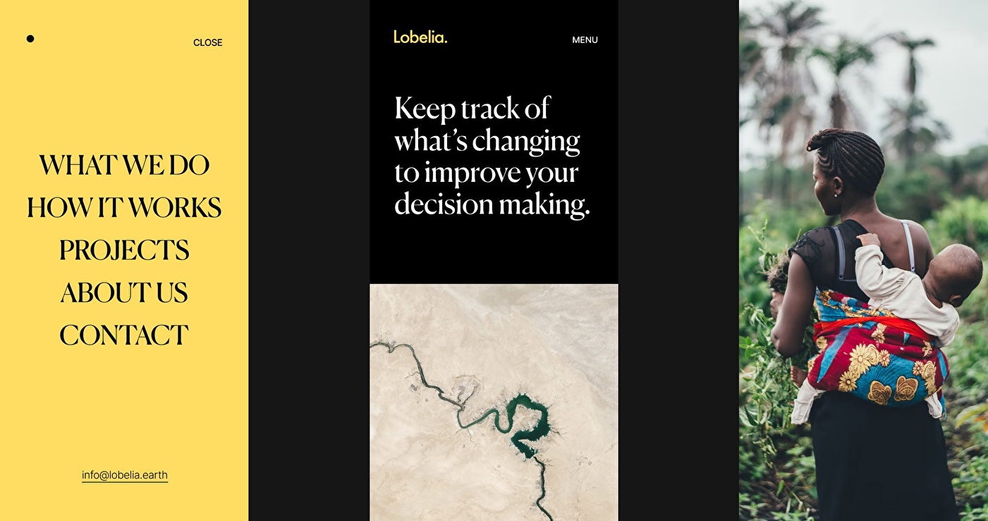 Design modules for Lobelia website.