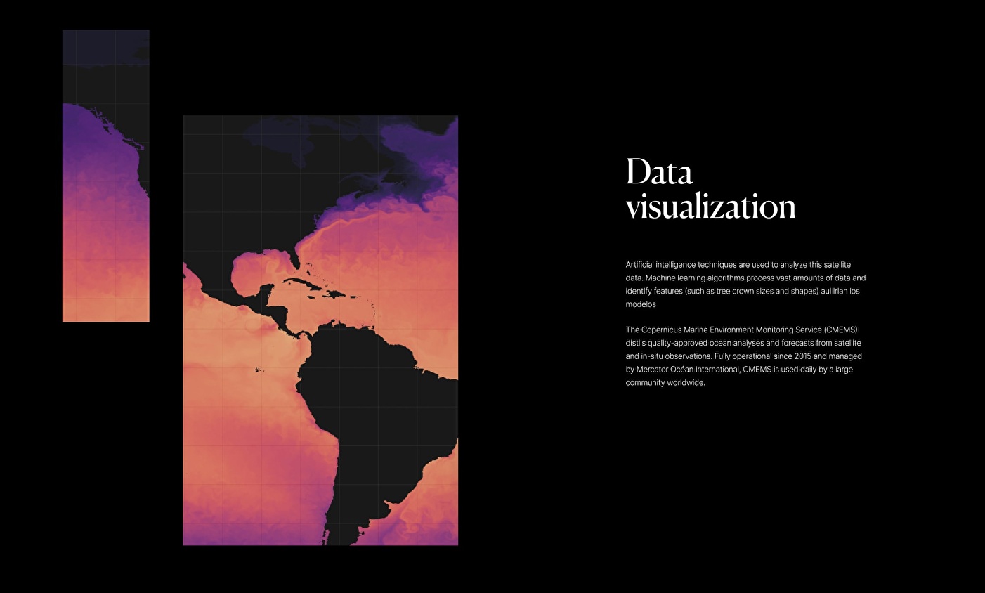 User - friendly structure for Lobelia website.
