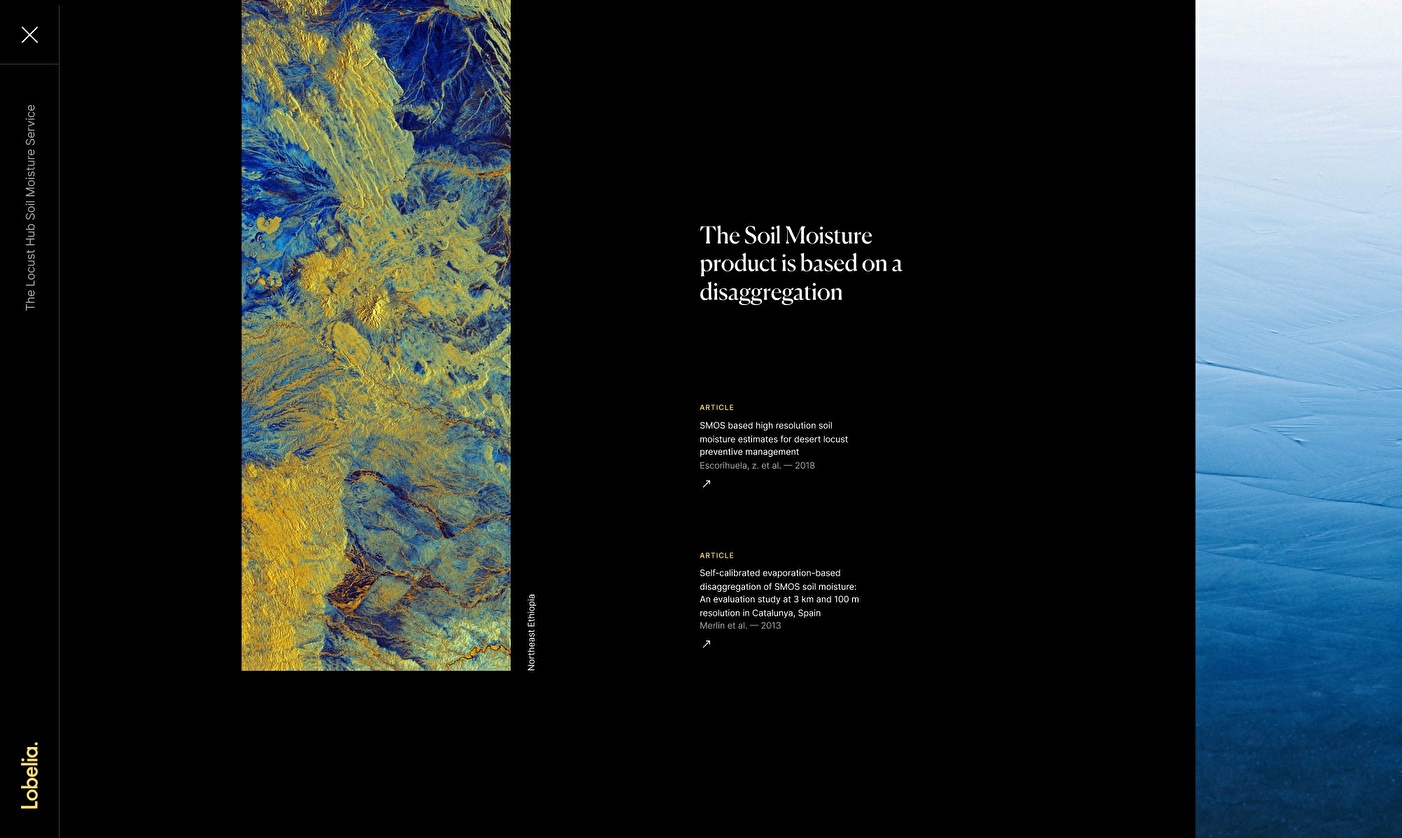 UI Design for Lobelia website.