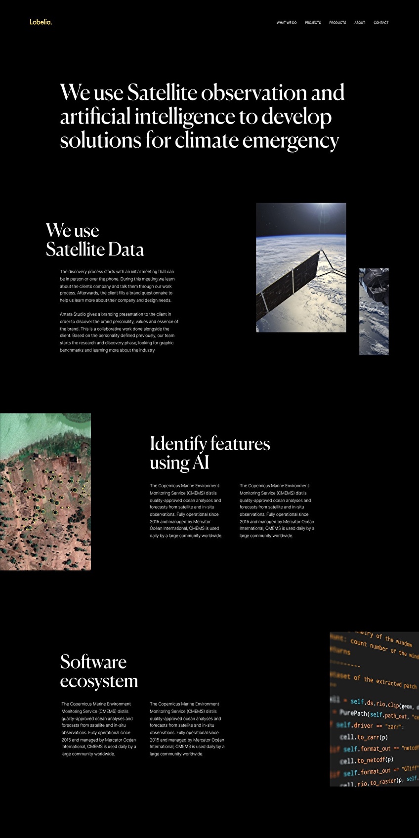 UI design for Lobelia website.