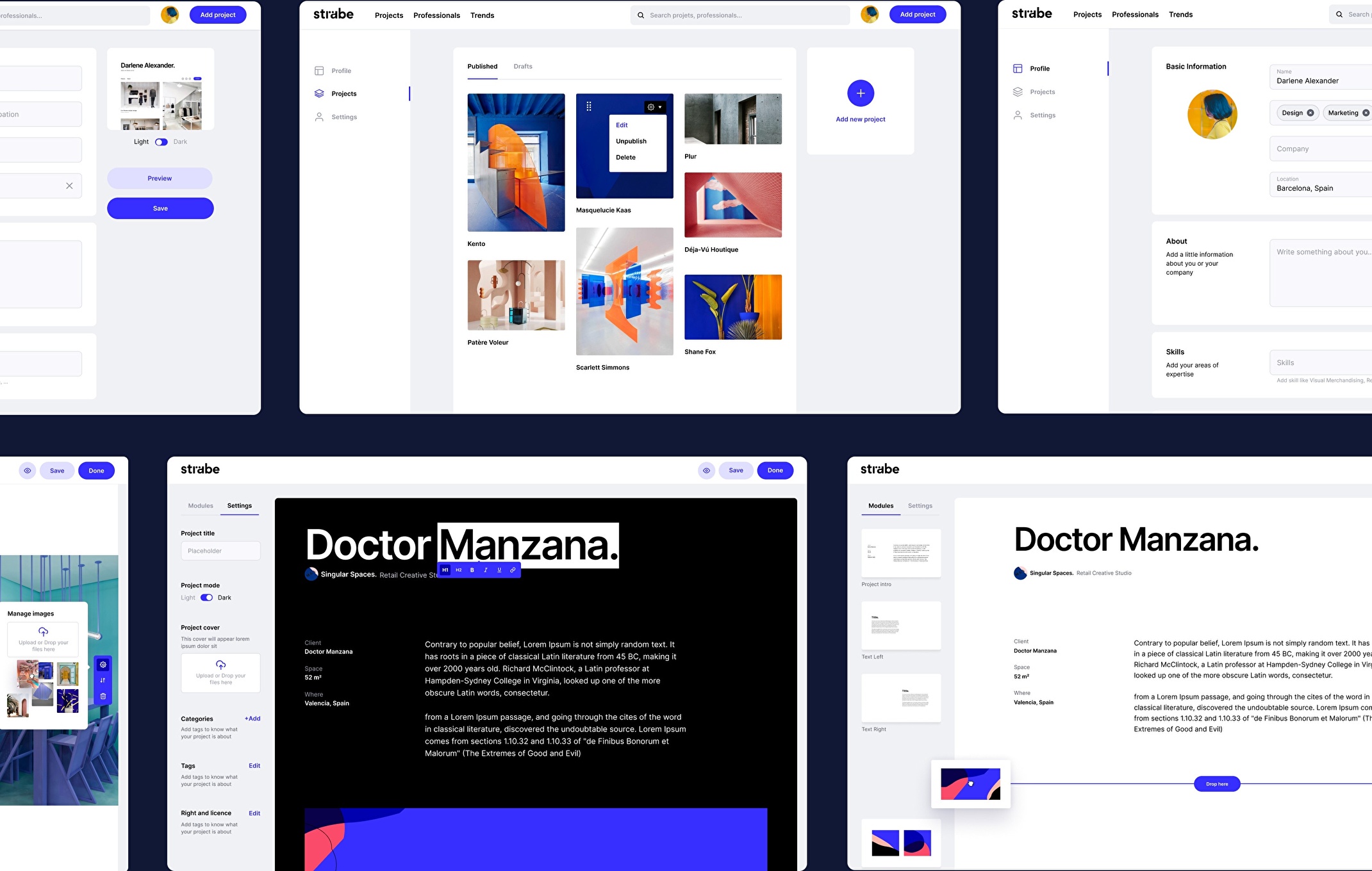 Sistema de diseño de Strabe aplicado al diseño visual de la web.